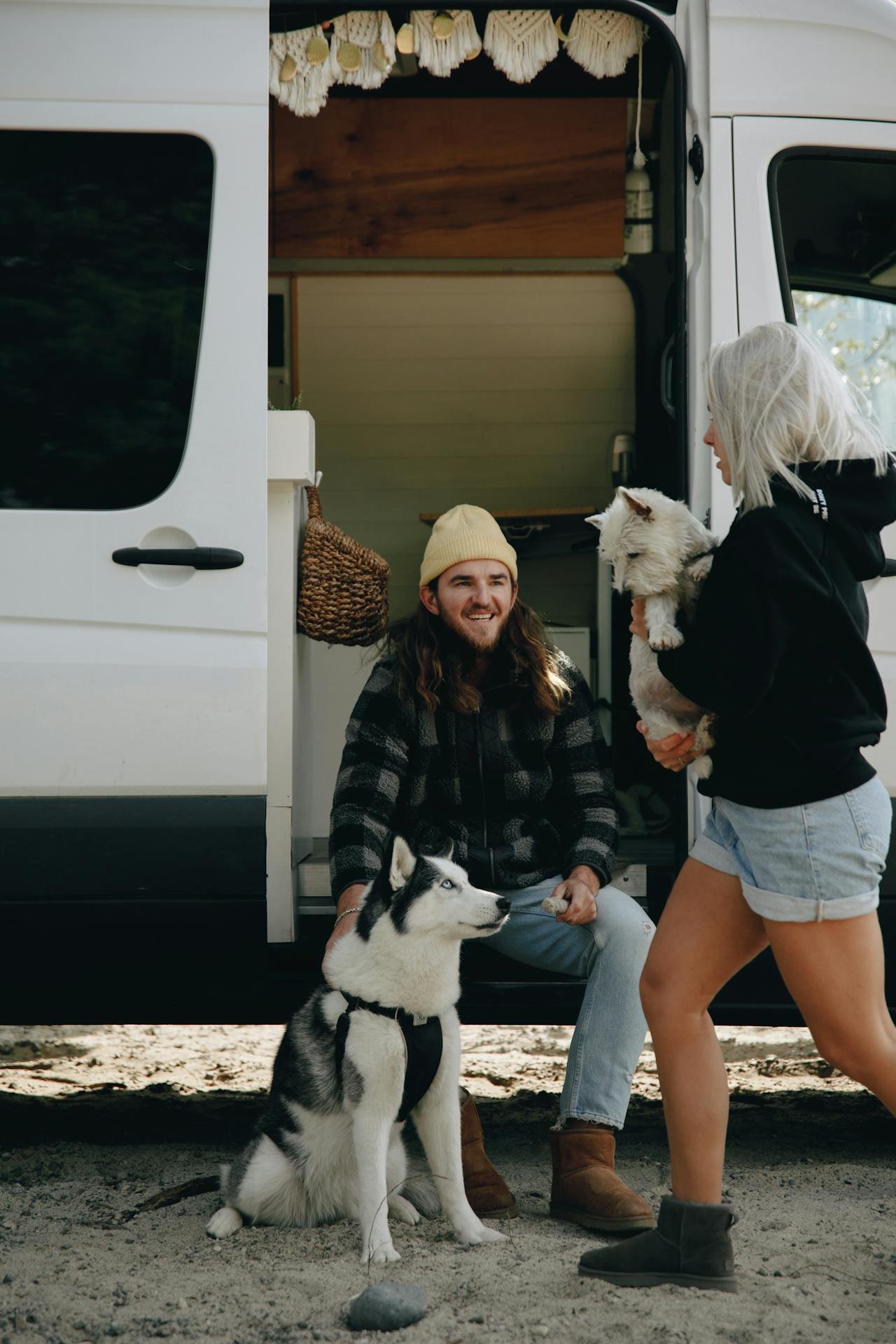 Wohnmobil-reisen-mit-dem-Tier-Die-besten-Tipps