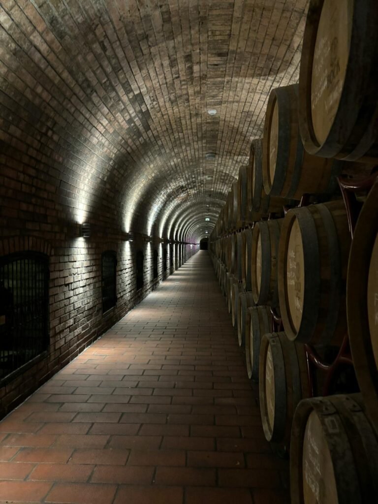 Weinbarrels in einem unterirdischen Weinkeller in Villány.

