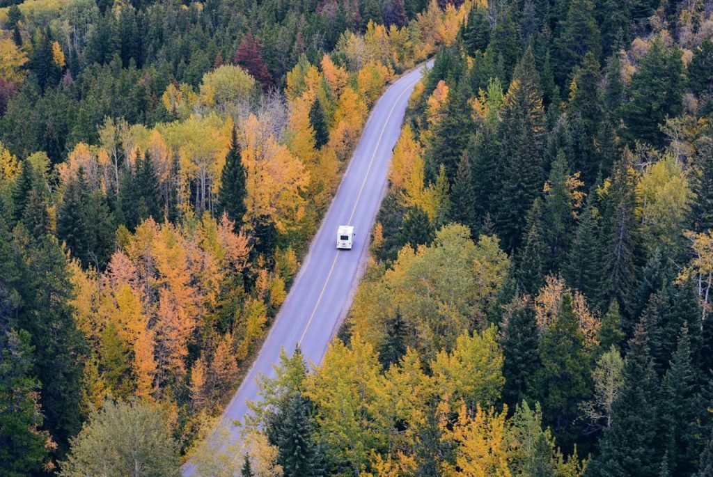 Wohnmobil auf einer Straße durch den Wald - Ihr Partner für das Wohnmobil-Abenteuer